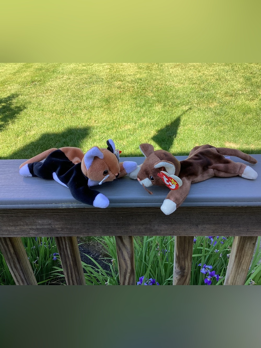 Ty Plush Cat Pair